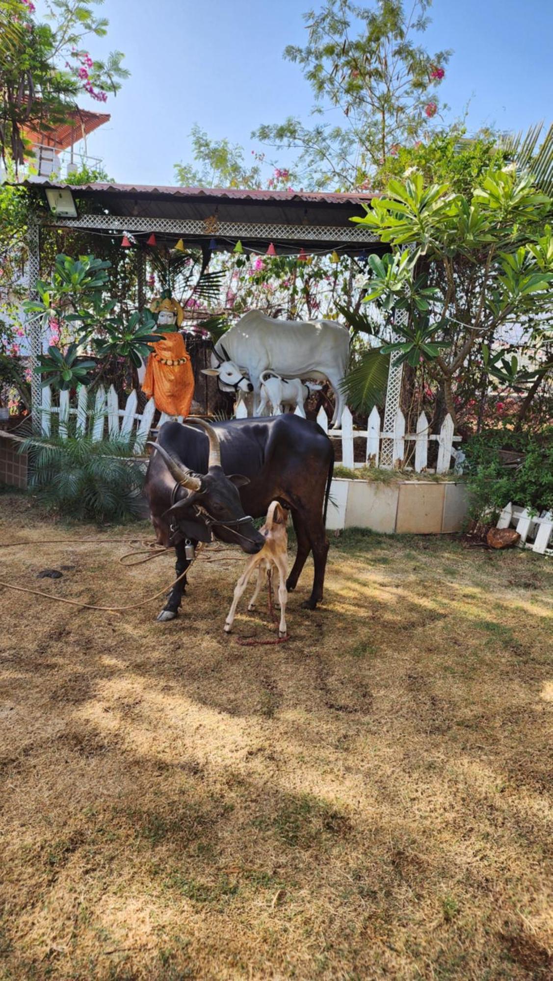 Saifarms Private Farmhouse Between Pune & Lonavala Nethersole Dam Exterior photo
